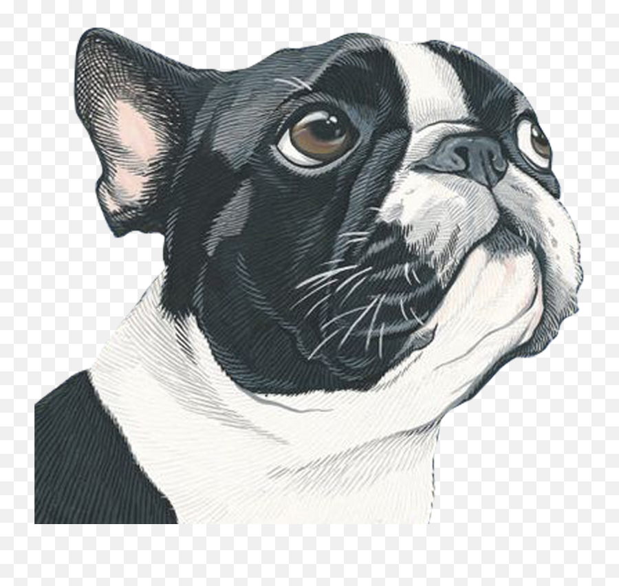 Download Portrait Art Painting Dog Illustration Free Emoji,Pug Emoticon Android