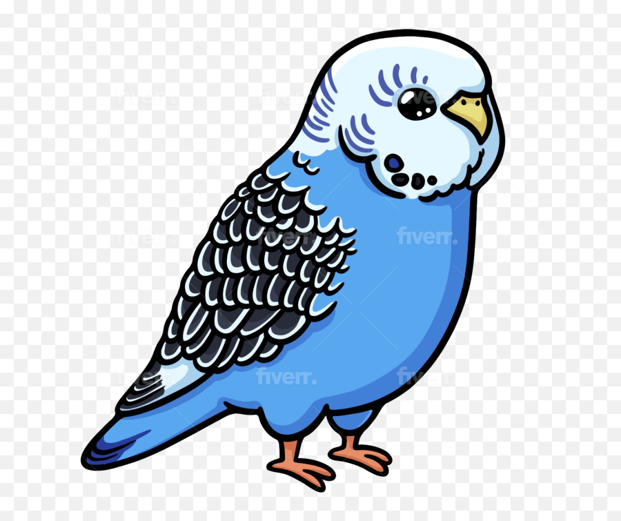 Draw Cute Kawaii Stickers Emoji - Budgerigar,Emojis Printable Drawing