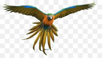 Parrot Bird Flyingbird Sticker By N4varre - Parrots Emoji,Parrot Emoji