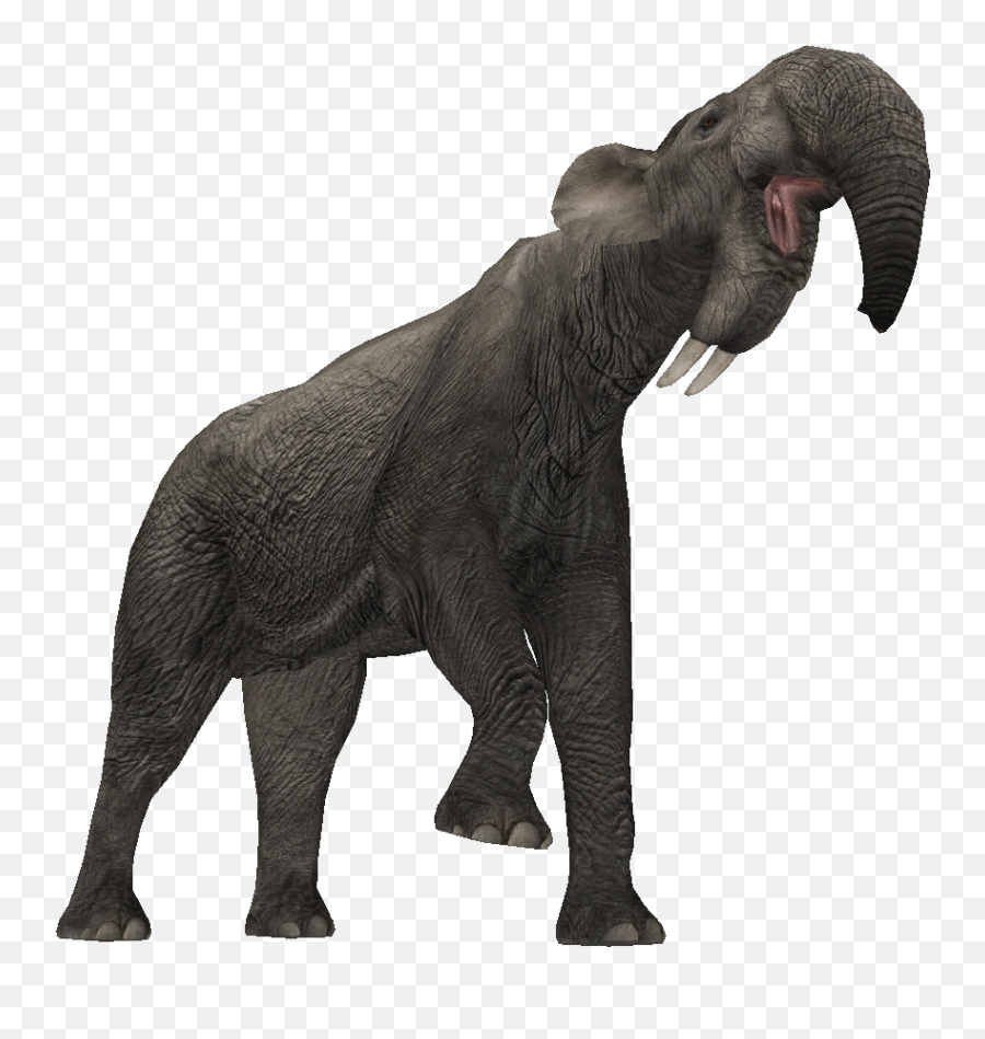 Indian Elephant African Elephant Zoo Tycoon 2 Extinct Emoji,Zoo Tycoon 2 Emoticons