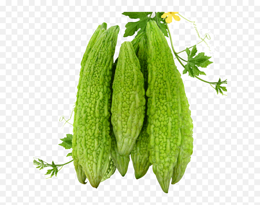 Bitter Gourd Leaves Png Png Mart Emoji,Bitter Emojis