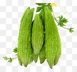 Bitter Gourd Leaves Png Png Mart Emoji,Bitter Emojis