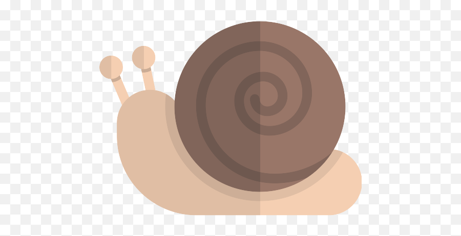 Snail Vector Svg Icon 22 - Png Repo Free Png Icons Emoji,Snail Emoji