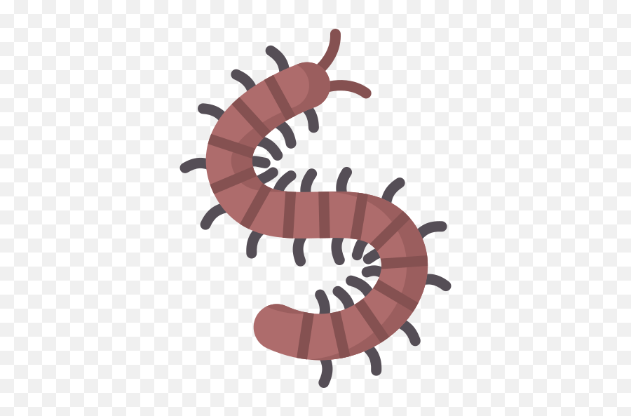 Download Centipede Icon Special Flat Style Emoji,Bugs Emoji