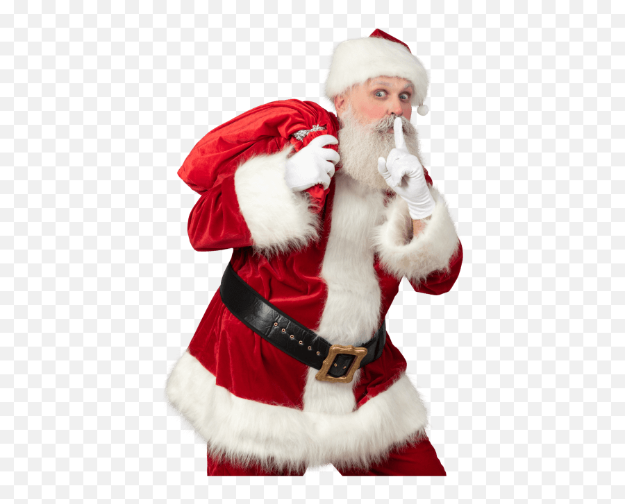 Christmas Zoom Backgrounds - Santa Claus Emoji,Santa Emotions