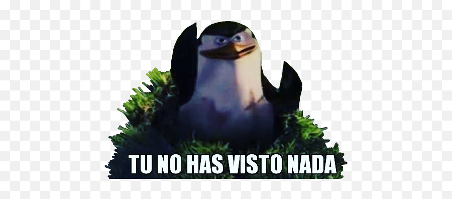 Meme Whatsapp Penguin Sticker - Stickers De Pinguinos De Madagascar Emoji,Emojis De Pinguinos Utilizables