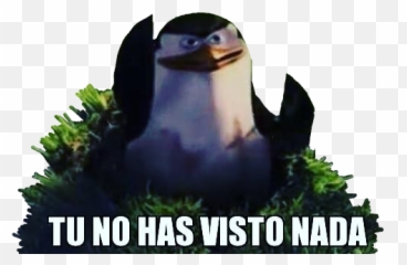 Meme Whatsapp Penguin Sticker - Stickers De Pinguinos De Madagascar Emoji,Emojis De Pinguinos Utilizables