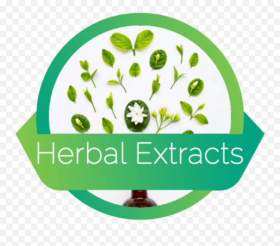 Herb Herbal Logo Png - Most Of Logos Are In Raster Graphics Herbal Extract Logo Emoji,Herbs Emoticon Text.