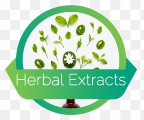 Herb Herbal Logo Png - Most Of Logos Are In Raster Graphics Herbal Extract Logo Emoji,Herbs Emoticon Text.