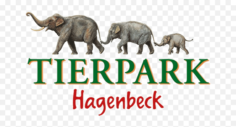 The Lion King - The Musical Miniatur Wunderland Hamburg Hagenbecks Tierpark Emoji,Simba's Emotions
