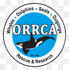 2019 Program Emoji,Whales Mimicking Human Emotion