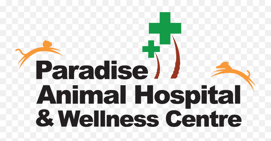 Blog U2014 Paradise Animal Hospital U0026 Wellness Centre - Language Emoji,Emotion Control Cat Ears