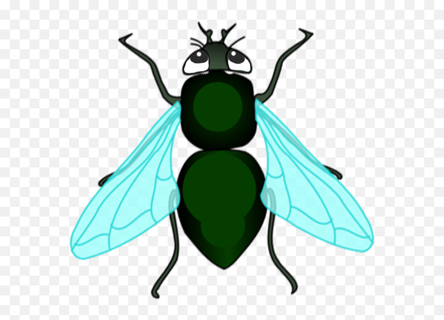 Wordnet Search - Parasitism Emoji,Housefly Emoticon