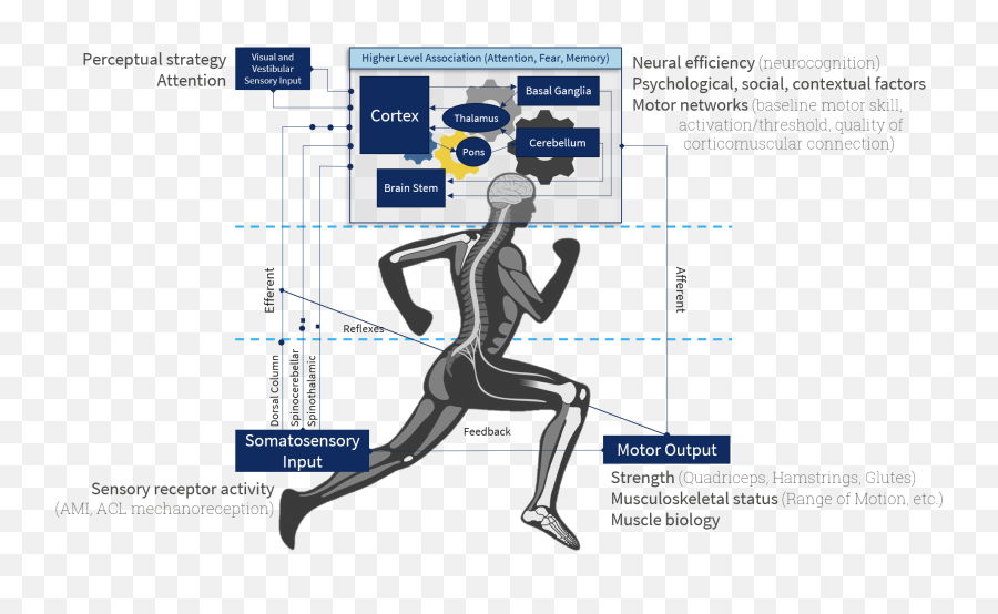 South Coast Seminars - For Running Emoji,