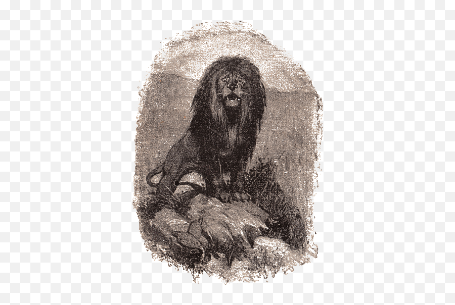 Allanu0027s Wife - Art Charcoal Emoji,Emotion Baboon