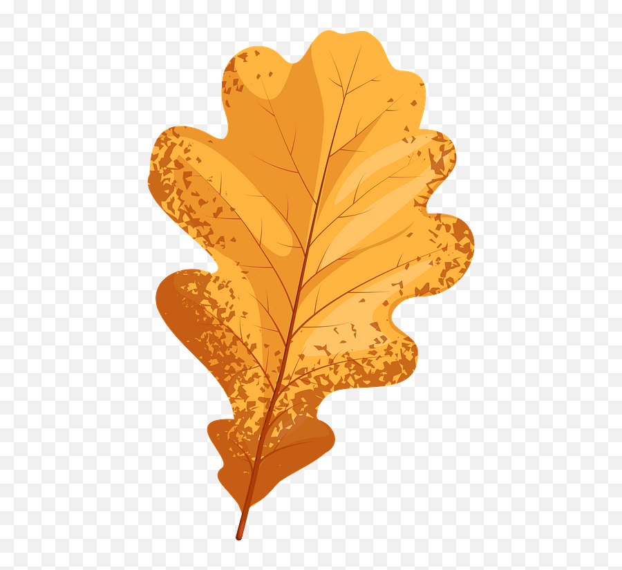 English Oak Late Autumn Leaf Clipart Emoji,Autumn Leaf Emoticon