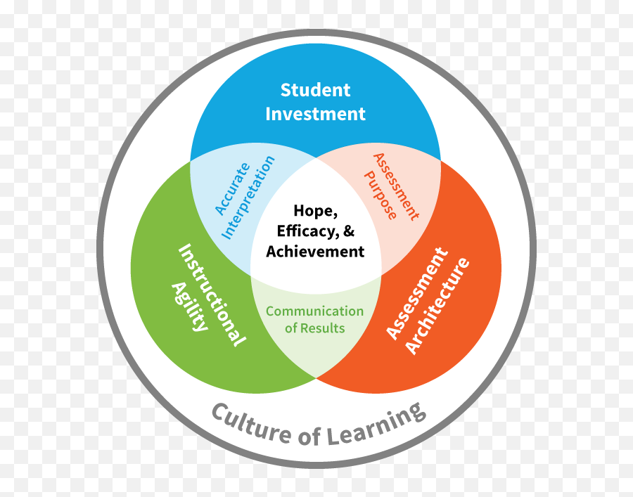 Professional Development For Teachers Coaches And Emoji,Success Emotions Infographic