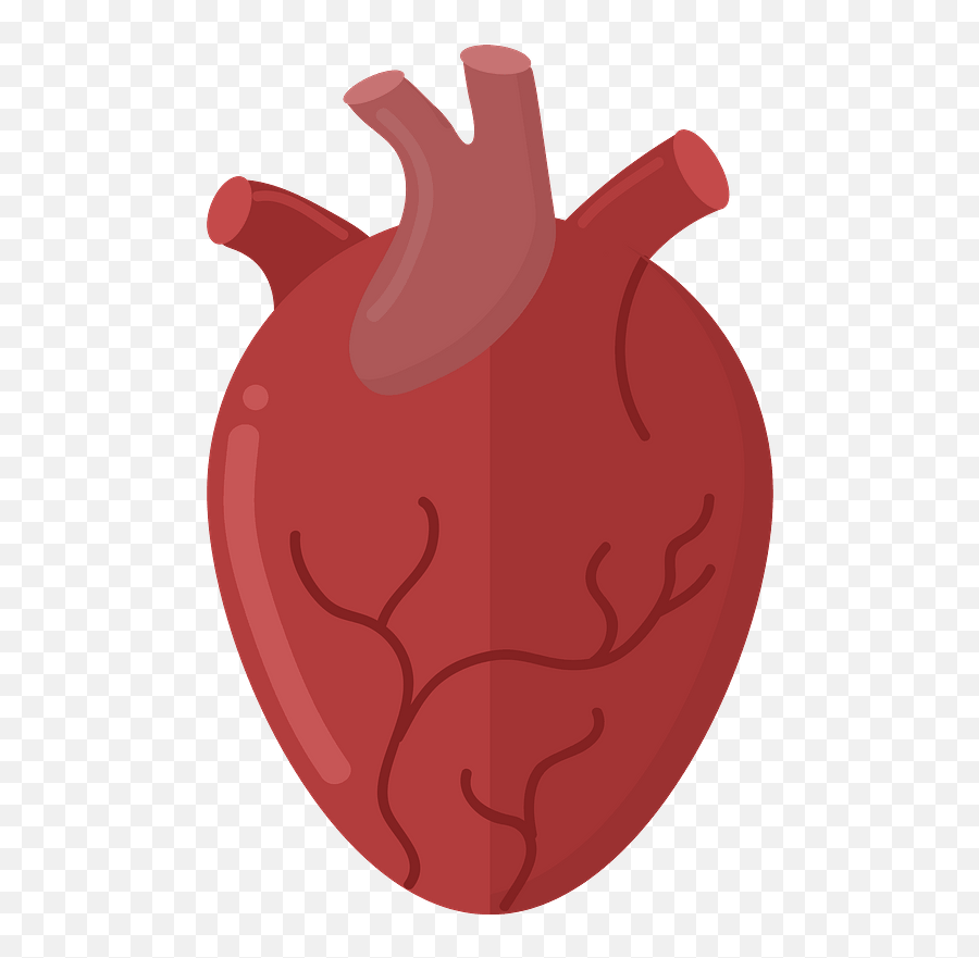 Human Heart Clipart Free Download Transparent Png Creazilla - Fresh Emoji,Small Red Heart Emoji