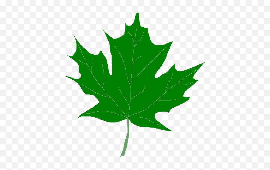 Green Maple Leaf Clipart - Fall Leaves Clipart Green Emoji,Maple Leaf Emoticon