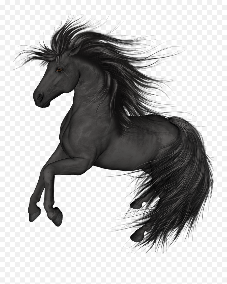 Clipart Houses Horse Clipart Houses Horse Transparent Free - Black Horse Clipart Emoji,Horse Emoji Transparent