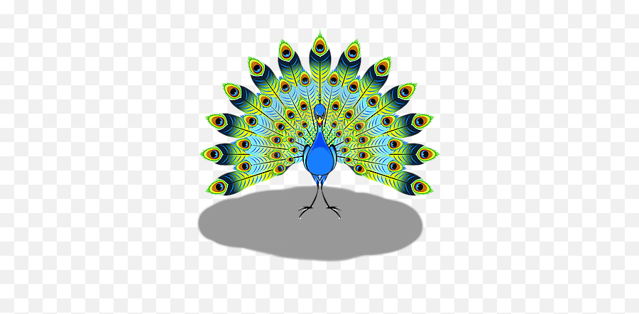 Peacock Vector Peacock Art Peacock - Free Island Beach Boat Cartoon Emoji,Peacock Emoji