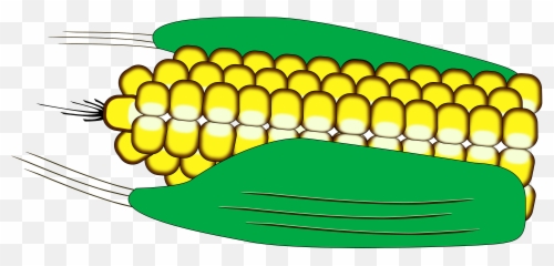 Ear Of Corn In The Shuck Clipart - Parque Lineal Chibunga Emoji,Corncob Emojis