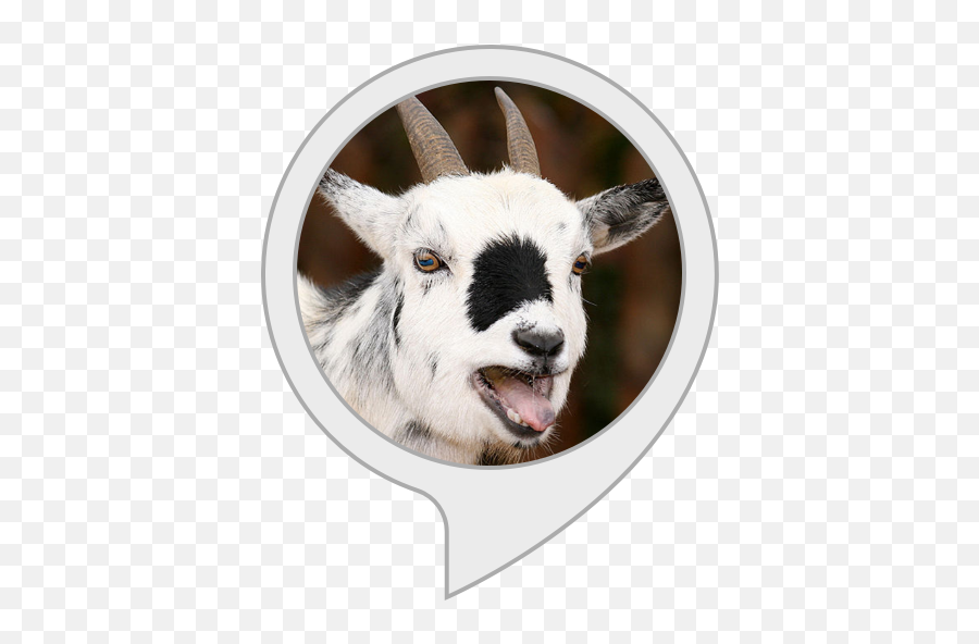 Goat Sounds Amazoncouk Alexa Skills - Pygmy Goat Emoji,Goat Emoticon