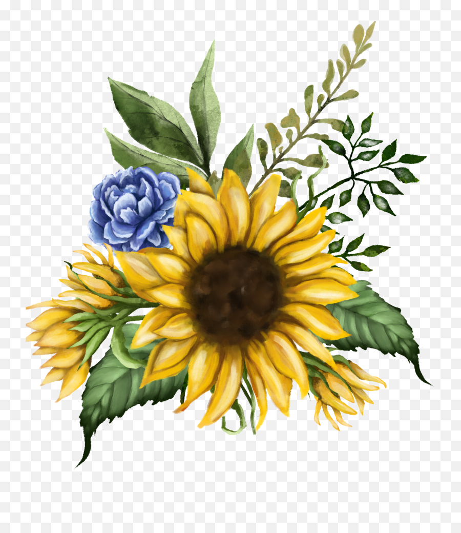 Sunflower Watercolor Wreath U0026 Bouquets Sunflowers Clipart - Transparent Watercolor Sunflower Png Emoji,Facebook Sunflower Emoticons