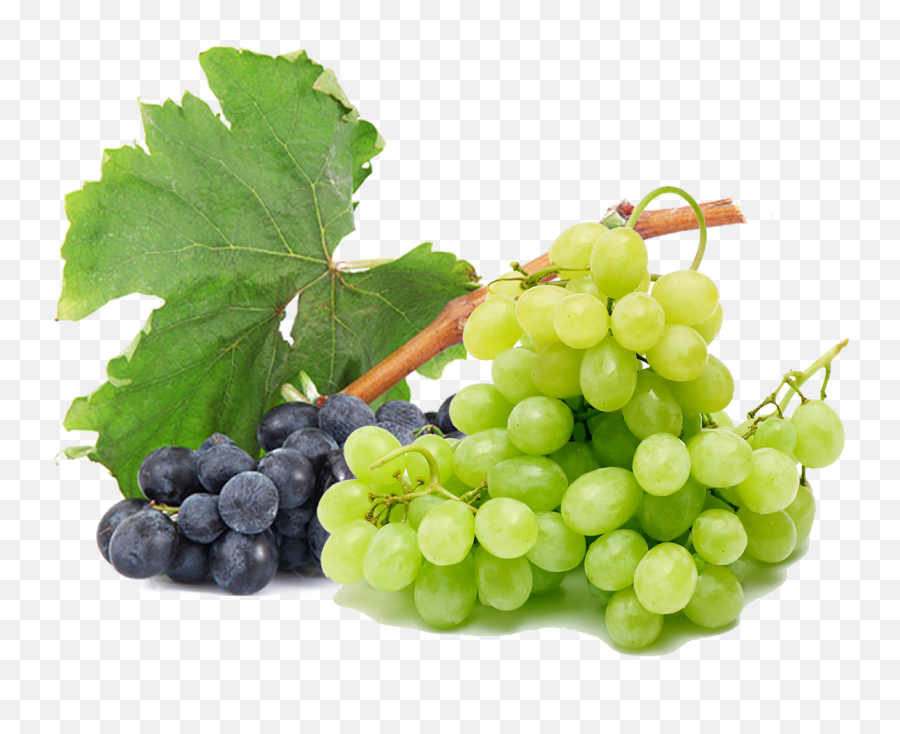Download Grapes Free Png Image - Grape Png Image With No Grapes Black And Green Emoji,Facebook Emoticons Grapes