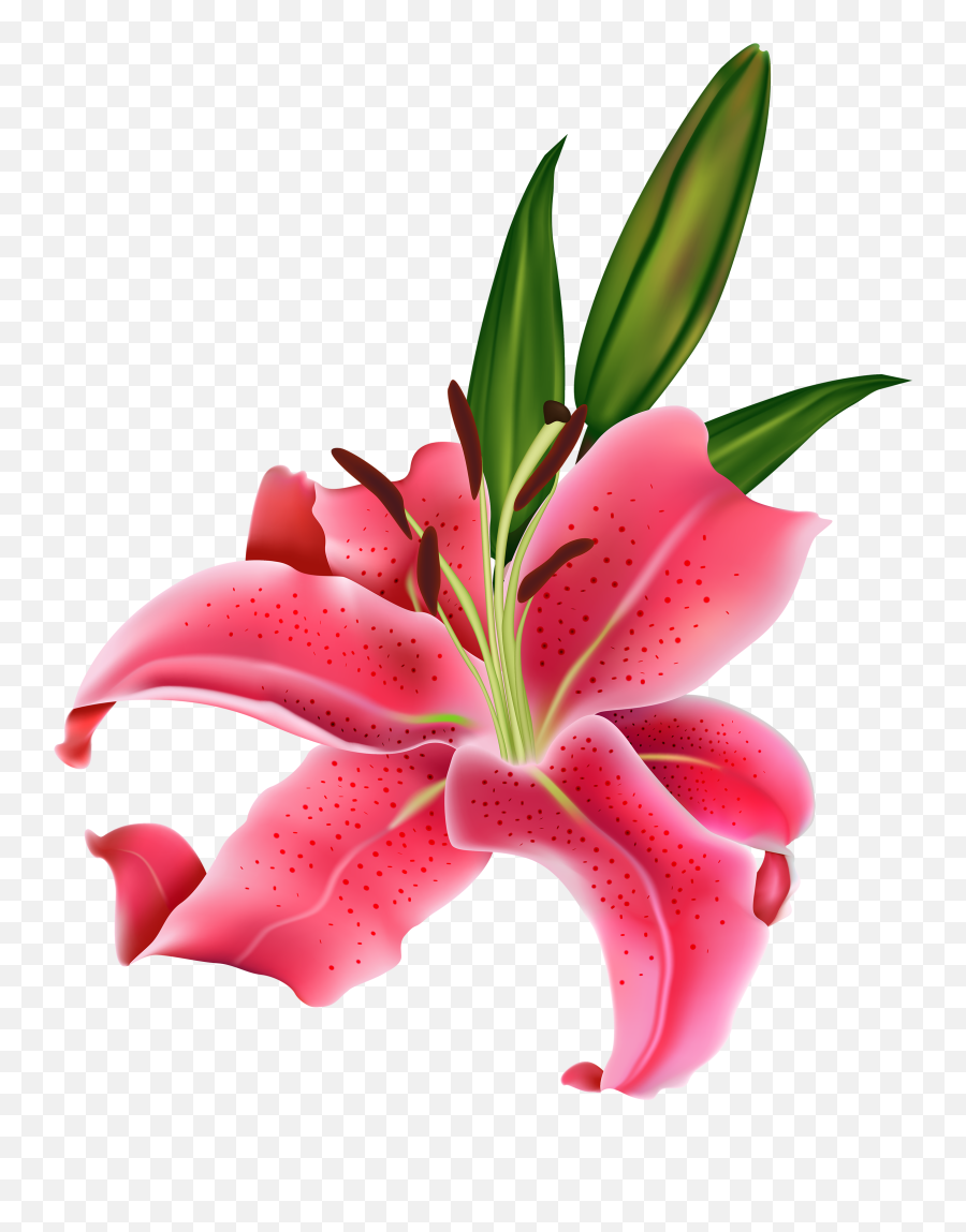 Dead Flowers Png - Flower Thoranam Images Png Calla Lily Transparent Background Calla Lily Flower Emoji,Lily Flower Emoji