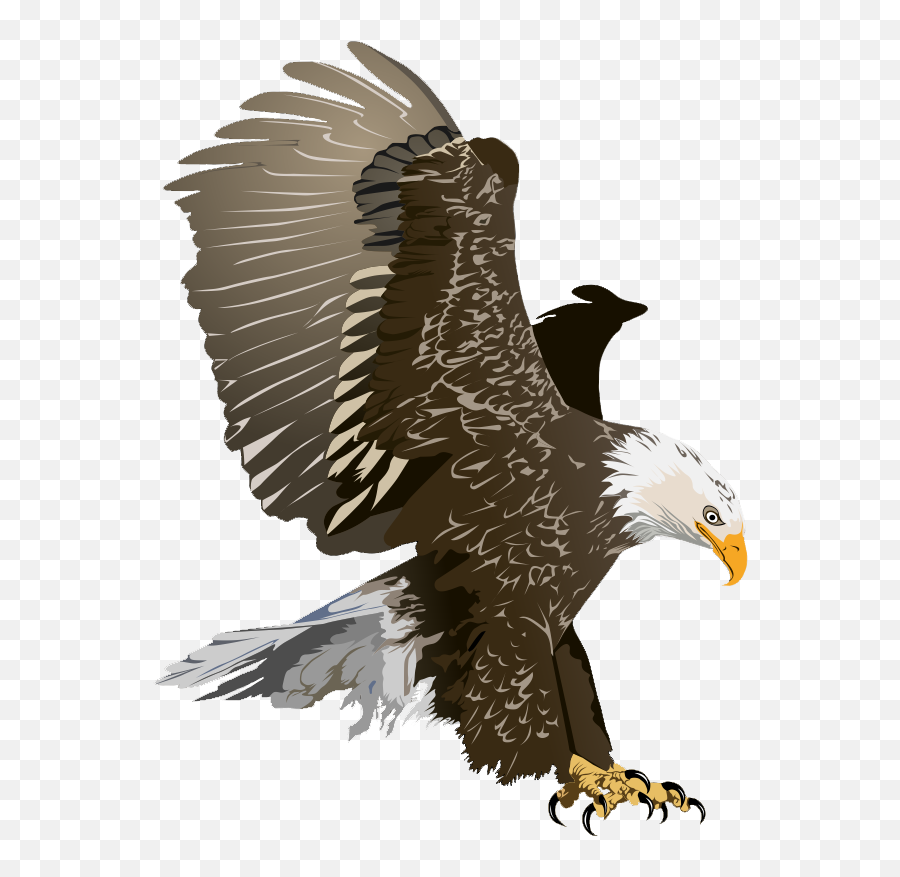 Bald Eagle Free Eagle Clip Art Pictures 3 - Clipartix Eagle Birds Png Hd Emoji,Bald Emoji