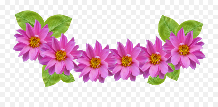 Free Flowers Tumblr Transparent Download Free Clip Art - Snapchat Flower Crown Png Emoji,Pink Flower Emoji