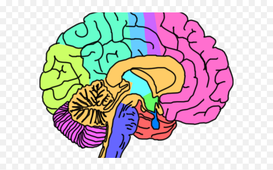 Mental Health Brain Png Transparent Png - Transparent Mental Health Clipart Emoji,Left And Right Brain Emotions Clipart