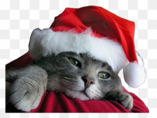 Here There Be A Writer 2013 - Inspirational Quotes Animal Christmas Emoji,Jingle Bell S Chime In Jingle Bell Time Emotion