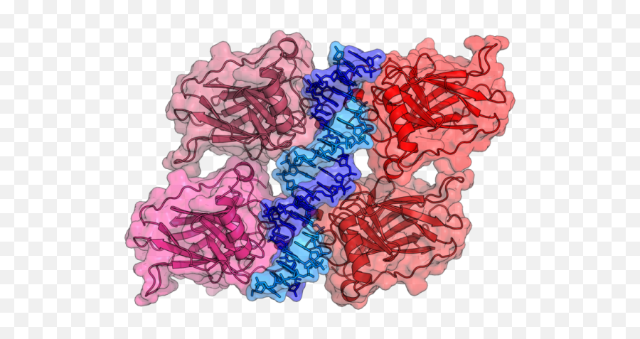 Genomic U201cdark Matteru201d A Key To Understand Cancer Biology - P53 Png Emoji,Homo Emoji