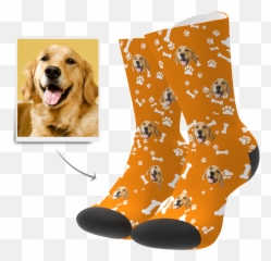 Custom Pet Face Crew Socks Emoji,Sexy Lace Bra And Panties Purple. Emojis