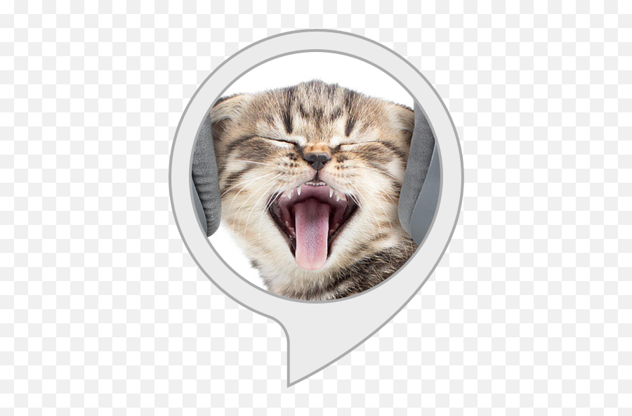 Diventa Un Gatto Amazonit Alexa Skill - Audífonos De Gatitos Emoji,Emoticon Pernacchia