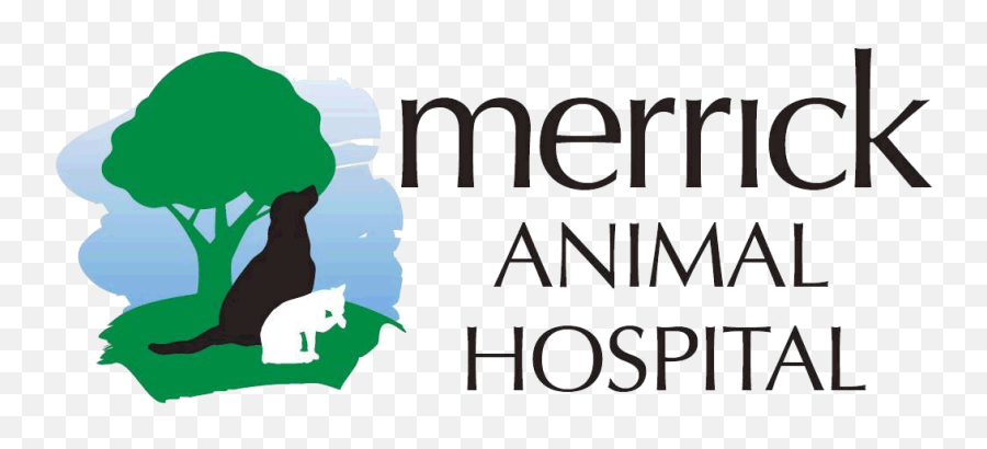 Home Veterinarian In Brookfield Il Merrick Animal Hospital Emoji,What Is An Emotion Support Animal