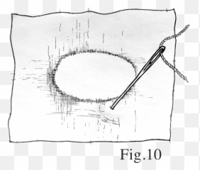 There Are No Weeds - Dot Emoji,Anno 1800 Walled Up Emotions