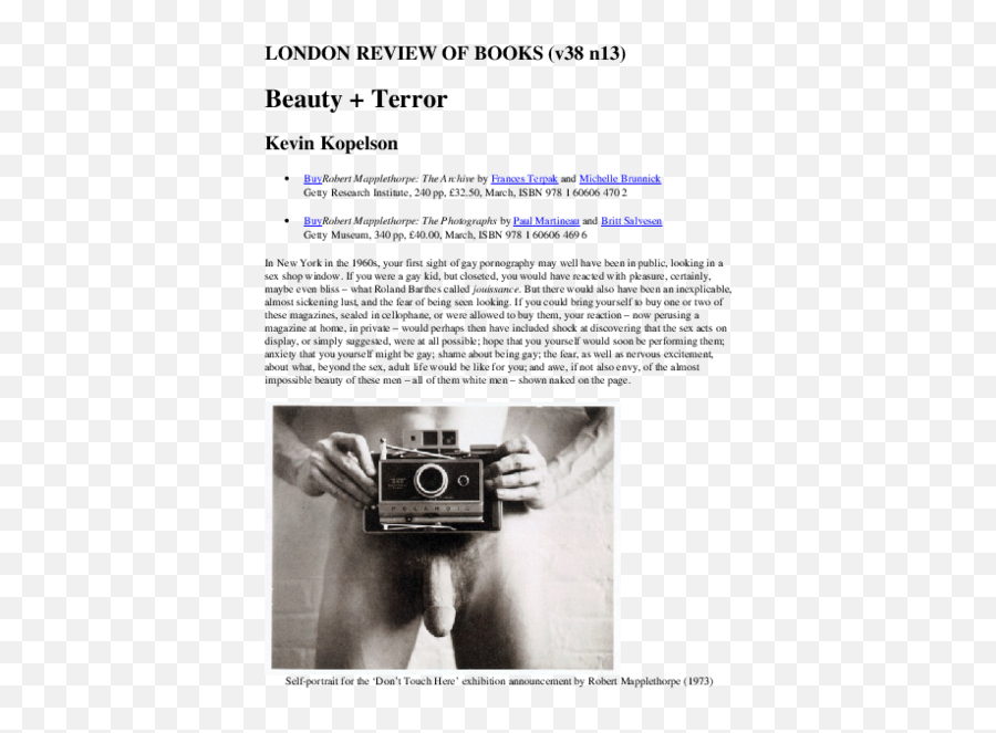 Wayne Koestenbaum Research Papers - Mirrorless Camera Emoji,Robert Mapplethorpe Emotion