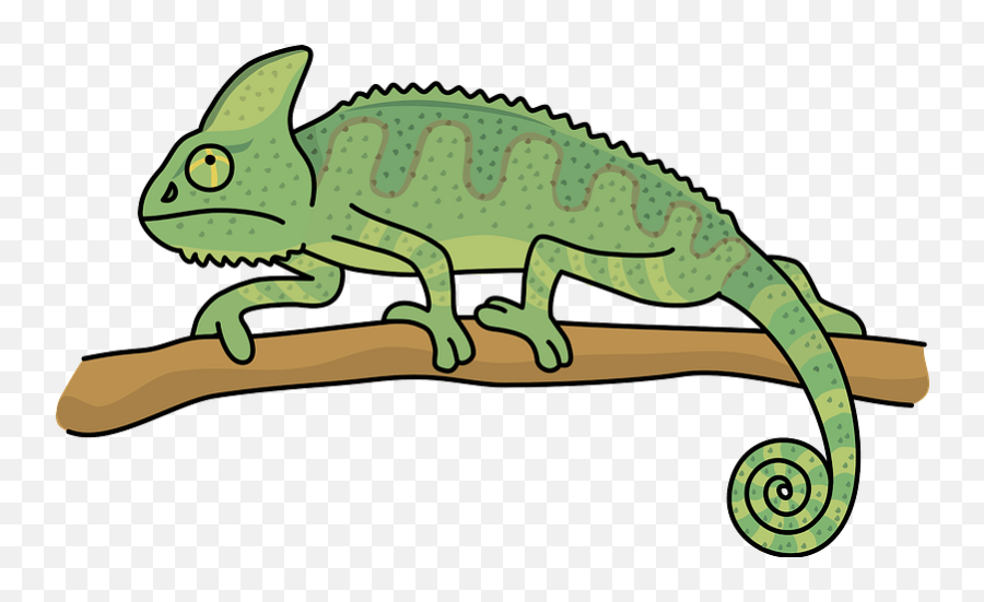 Veiled Chameleon Animal On A Branch Clipart Free Download - Veiled Chameleon Clipart Emoji,Chameleon Emoji