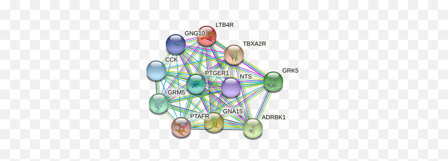 Ltb4r Protein Human - String Interaction Network Dot Emoji,Emotions By Gizzard