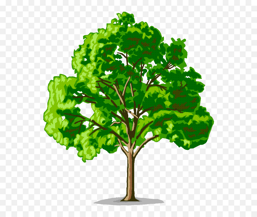 If A Tree Could 4th Class - Family Tree Emoji,Trees 'express Emotions And Make Friends'...