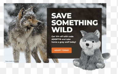 Gray Wolf - Photo Caption Emoji,Jacob Wolf Emotions