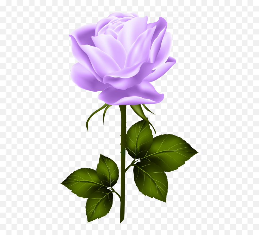 Clipart Flower Vine Painting Flower Painted Rose Wedding - Transparent Neon Rose Png Emoji,Hand Emoji Vine