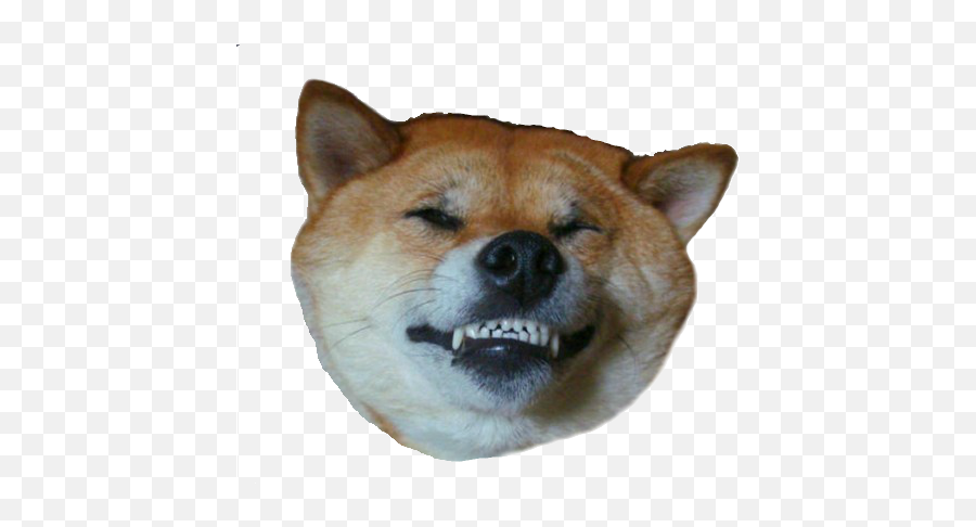 Doge Png Transparent Images - Dog Upside Down Smiling Emoji,Doge Emoji