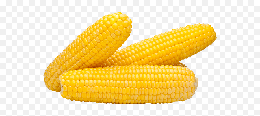 Luv You Guys - Yellow Sweet Corn Png Emoji,Corn Cob Emoji