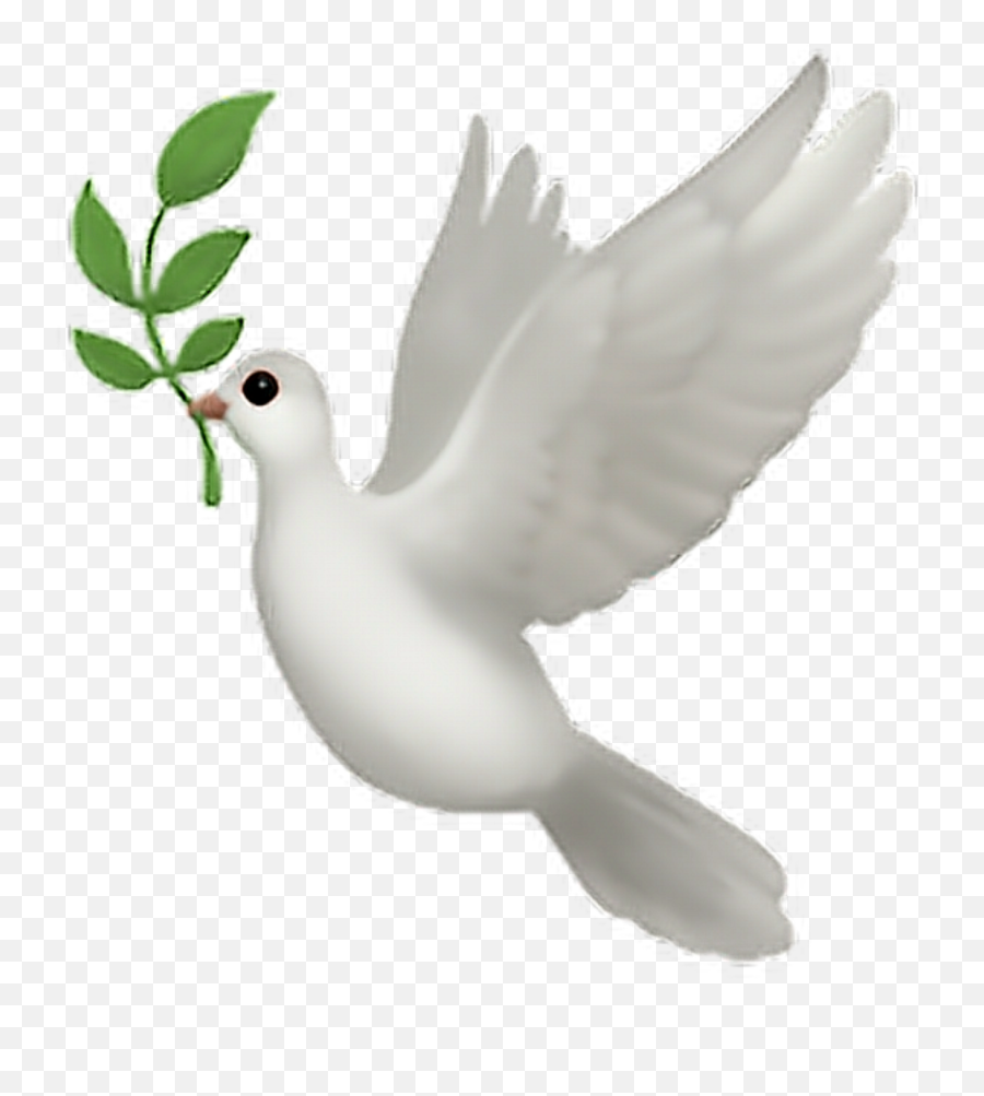 Sticker - Typical Pigeons Emoji,Dove Emoji App