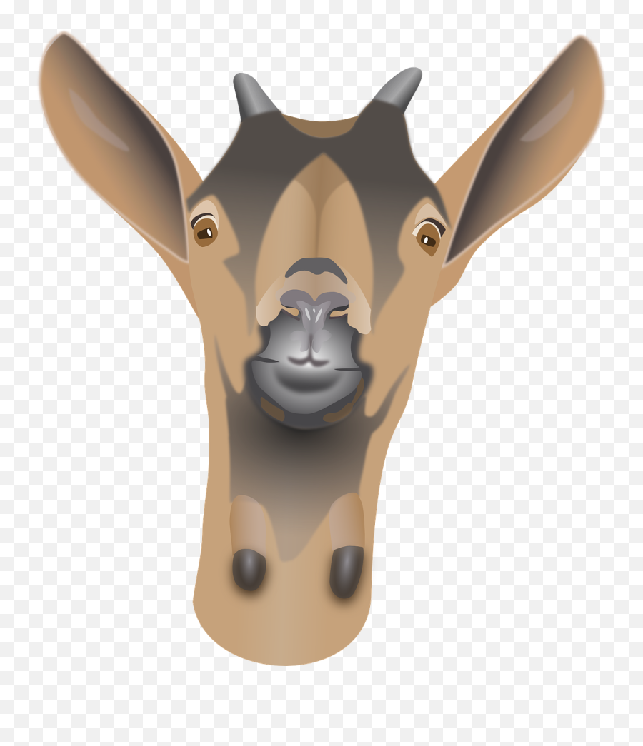 Httpswwwpicpngcomduckling - Babybirdyellowsmallpng Tete De Bambi Png Emoji,Golden Deer Fre Emblem Emoji