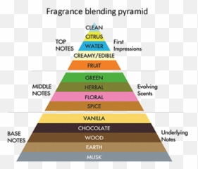 The Library Of Fragrance Official Website For Europe Emoji,Emotion French Perfume